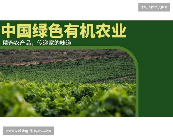 赛事引领环保潮流 可降解奖杯台与再生材料球衣助力绿色未来 赛事引领环保潮流 可降解奖杯台与再生材料球衣助力绿色未来